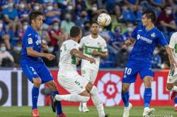 提供注册-冲刺阶段西甲焦点战，孟菲斯灰熊外线爆发，压力陡增，球队文化再被提及的简单介绍-提供注册